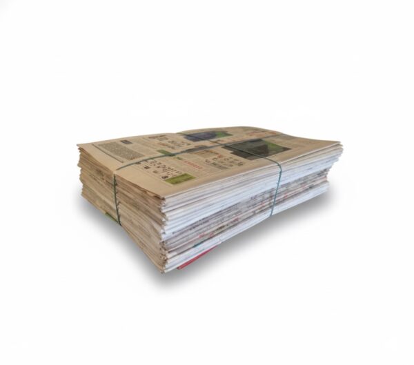 Generated Image November 06, 2025 - 5_59PM