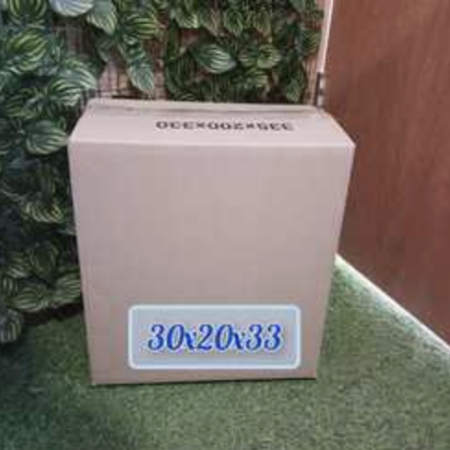 Caja 300x200x330 12C