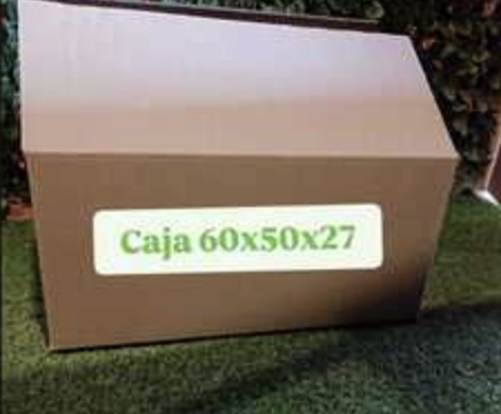 Caja 60X50X27